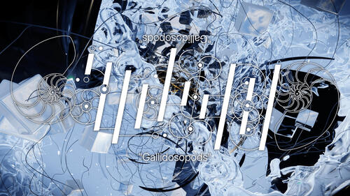 【O4SIS】Gallidosopods